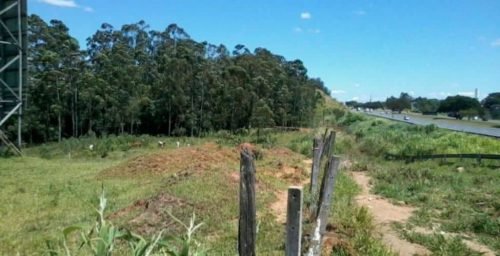 2014-02-18-10.57.54_800x600-1170x600-c-center