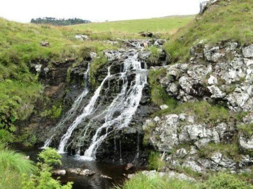 21d9fad8-8461-449c-a5b6-008a874b6c50