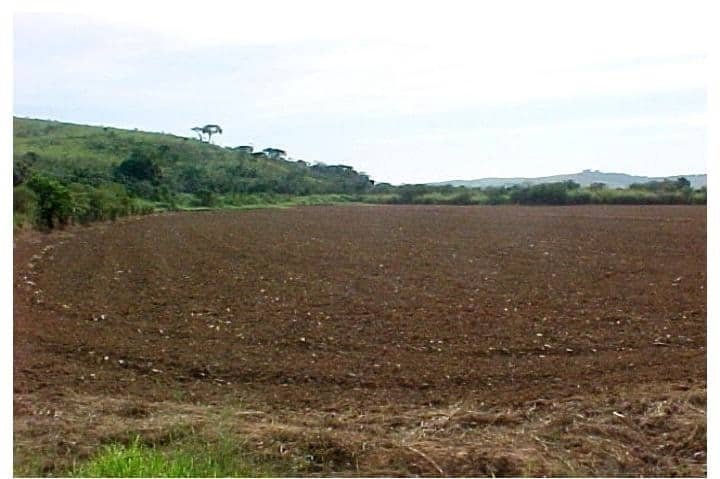 40000_Mogi_das_Cruzes4[1]