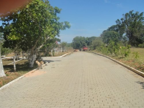 10941316_416301288536230_7309010818589669478_n