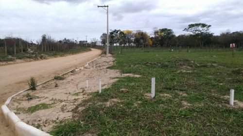 25443206_960897650743255_1317218250927088895_n[1]