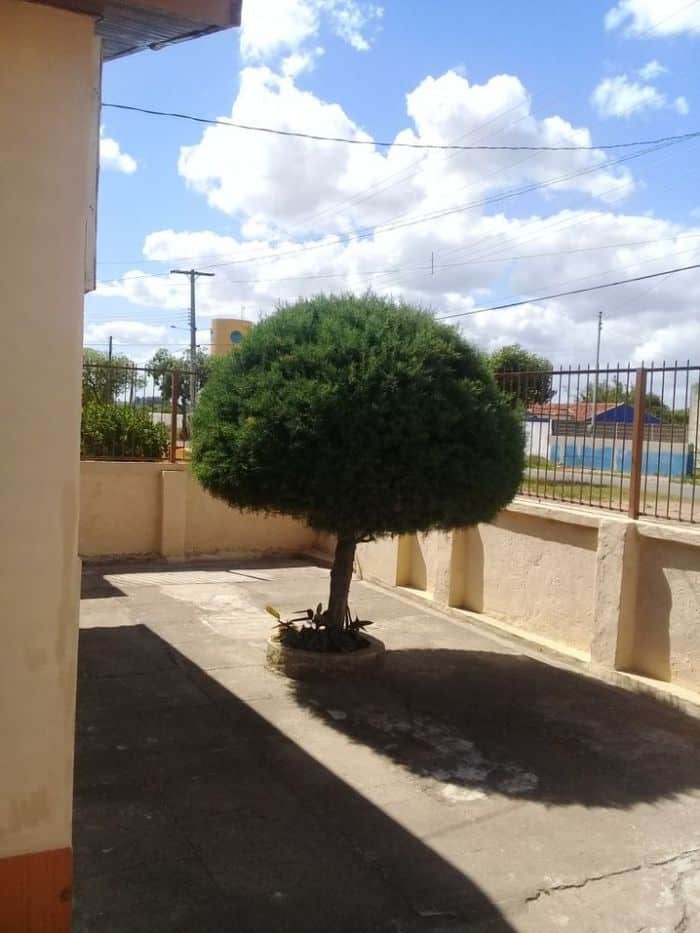 20180307_143939[1]compactada