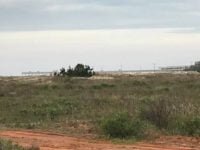 46135376_1769712189805751_3768323581600071680_n