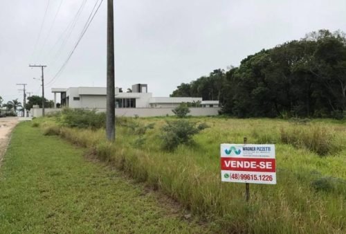 23319069_1328961780547463_9042629478715589151_n