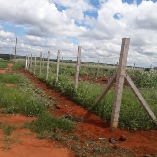 IMG_20181212_231657_477