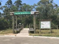 45723569_1764774766966160_1411638686566580224_n