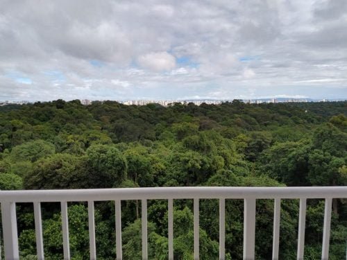 WhatsApp Image 2019-01-20 at 16.10.15