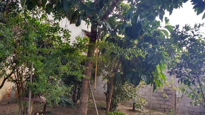 19243046_225102668008417_4477720571144717293_o