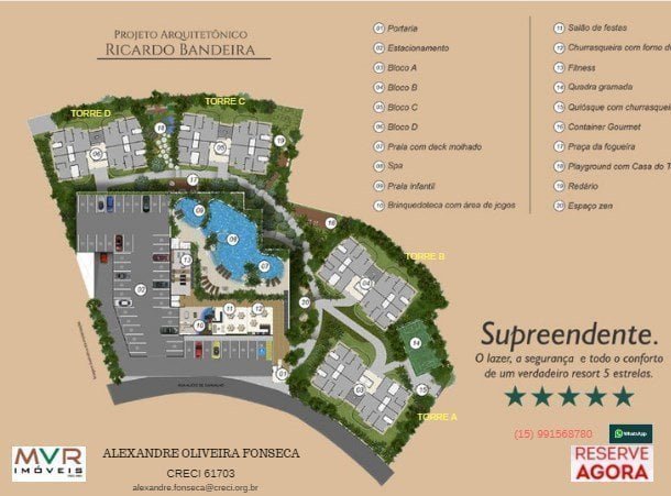 WhatsApp Image 2019-02-13 at 09.47.10(1)