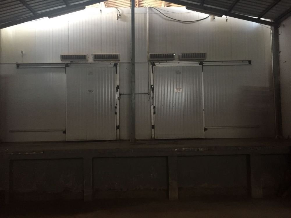 alugar camara fria em brasilia ou galpão frigorífico e armazenagem de frios 3