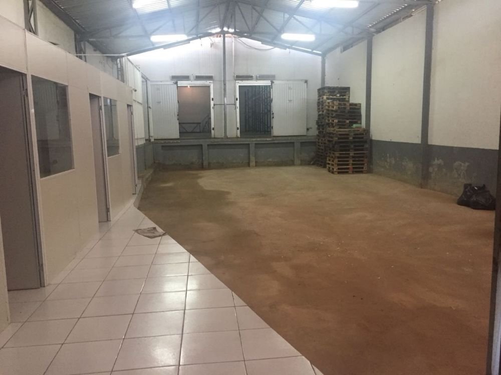 alugar camara fria em brasilia ou galpão frigorífico e armazenagem de frios 6