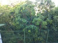 WhatsApp Image 2019-03-13 at 10.24.11