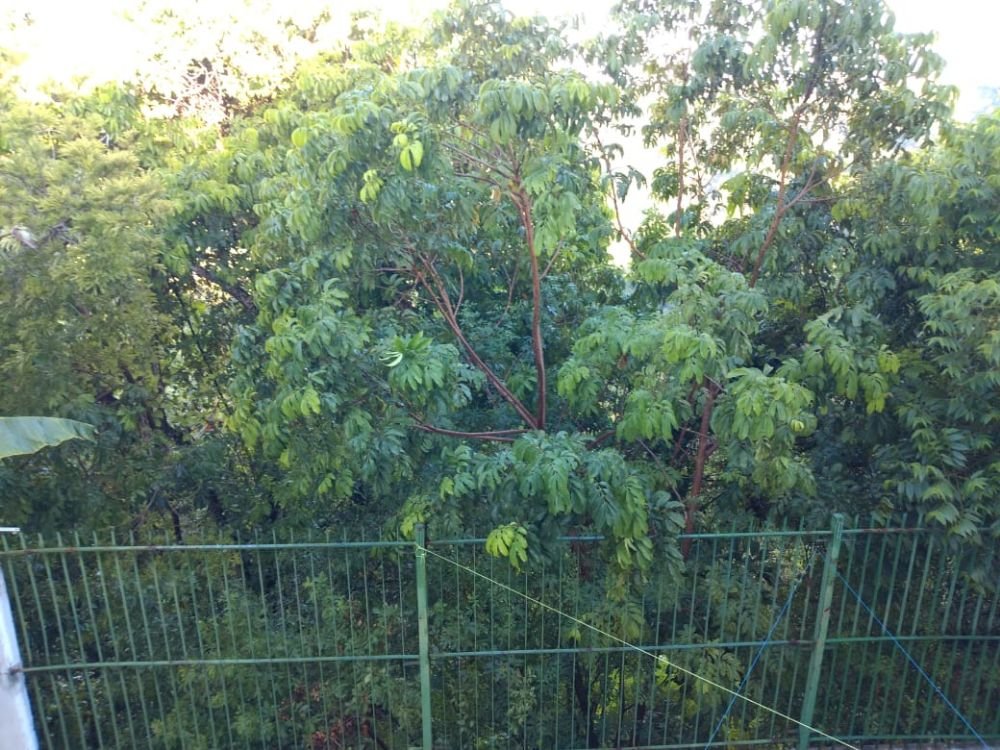 WhatsApp Image 2019-03-13 at 10.24.11