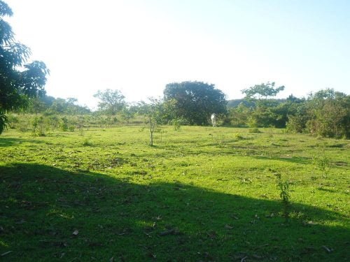 natal 008_Easy-Resize.com