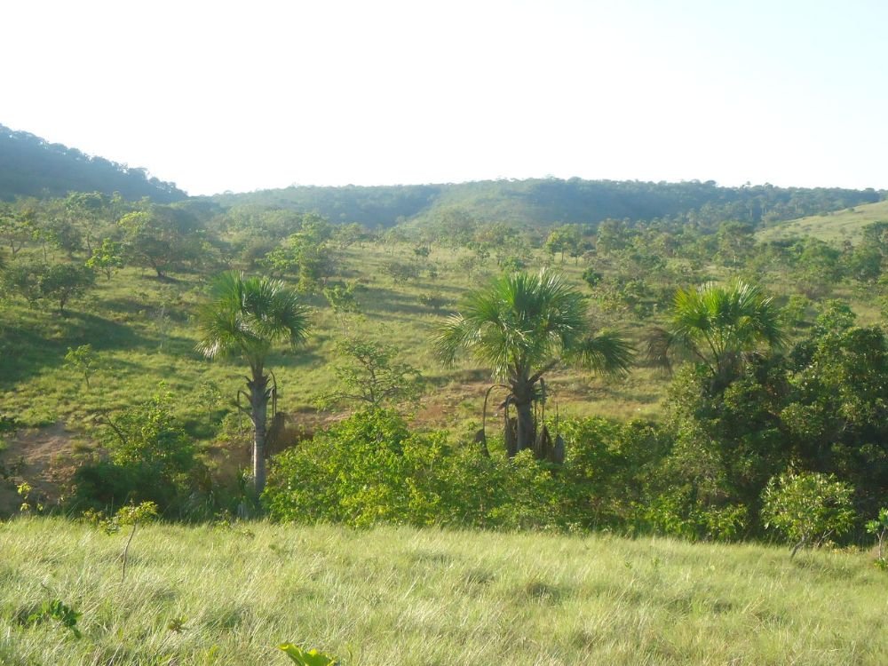 natal 004_Easy-Resize.com