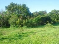 natal 015_Easy-Resize.com