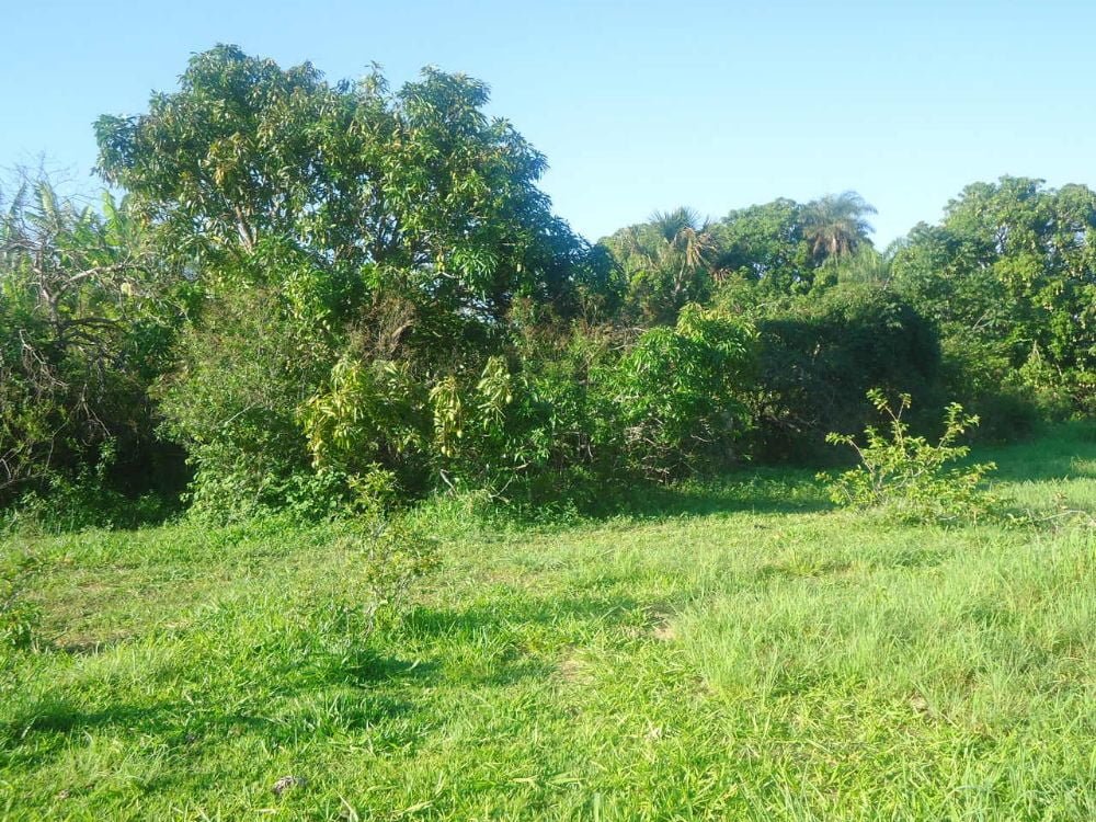 natal 015_Easy-Resize.com