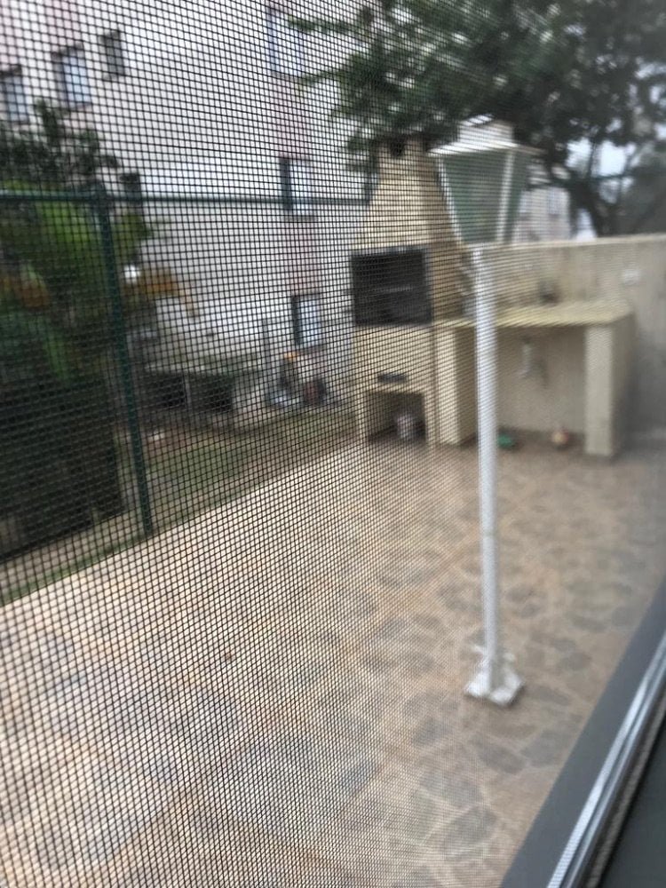 8A0AB629-9172-4FCD-9533-D0CBA9DEF9EC