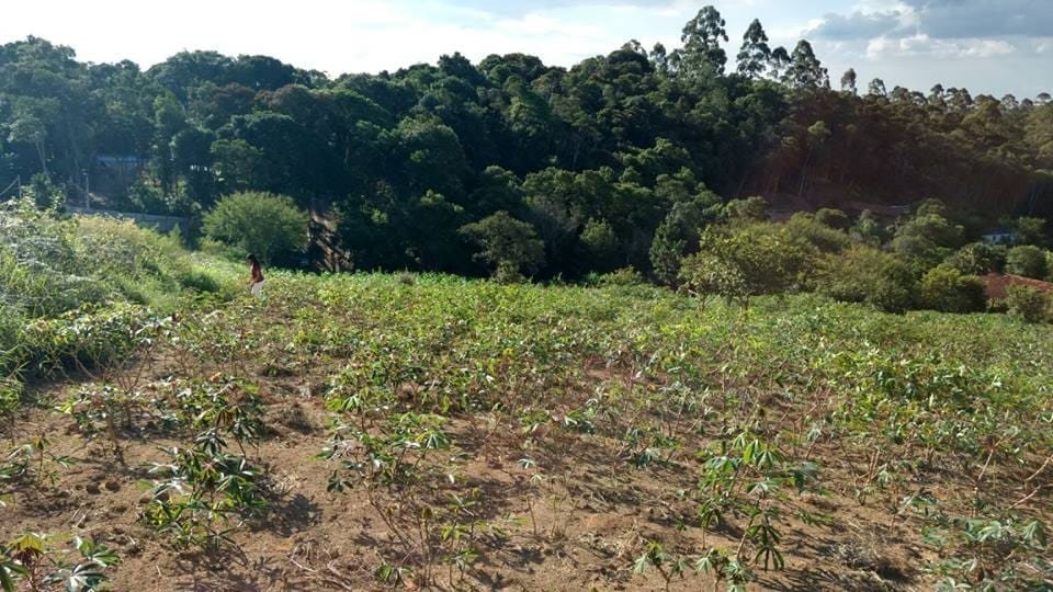 57446538_2284346395159710_2902962425361858560_n