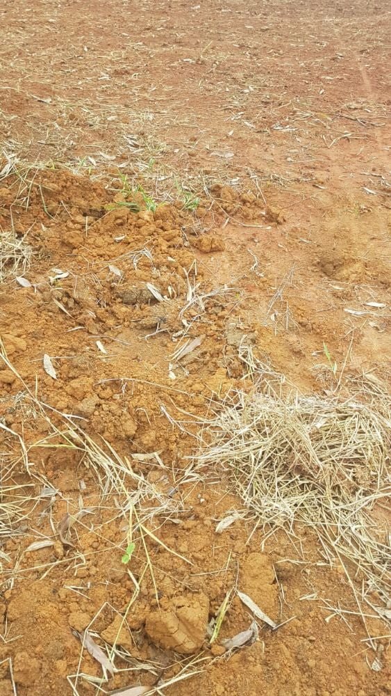 WhatsApp Image 2019-04-11 at 08.26.53