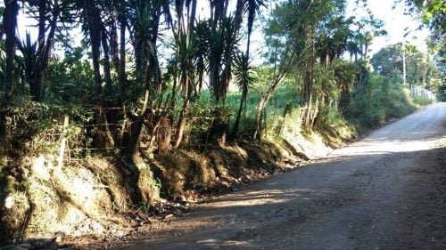 57232242_331697914215713_4496373057132167168_n