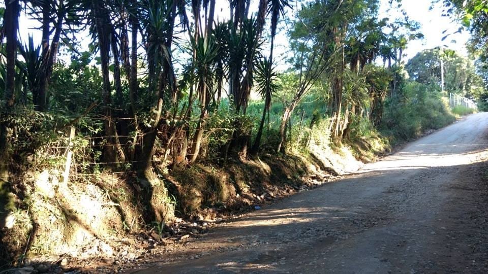 57232242_331697914215713_4496373057132167168_n