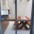 IMG-20181220-WA0014