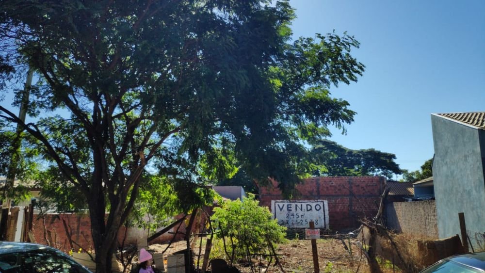 WhatsApp Image 2019-05-26 at 14.10.47 (1)