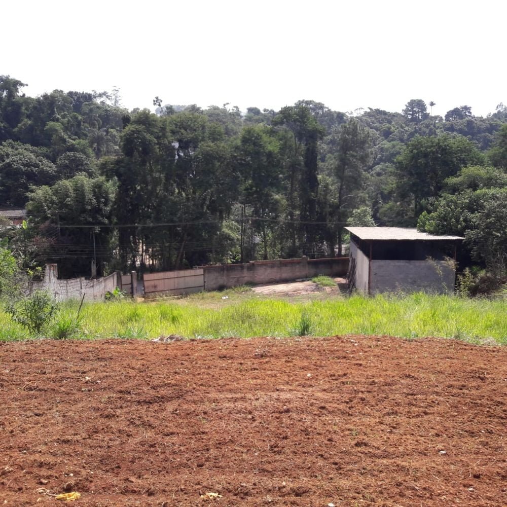 9067464a-ffff-42ba-8bc4-721b91393aab