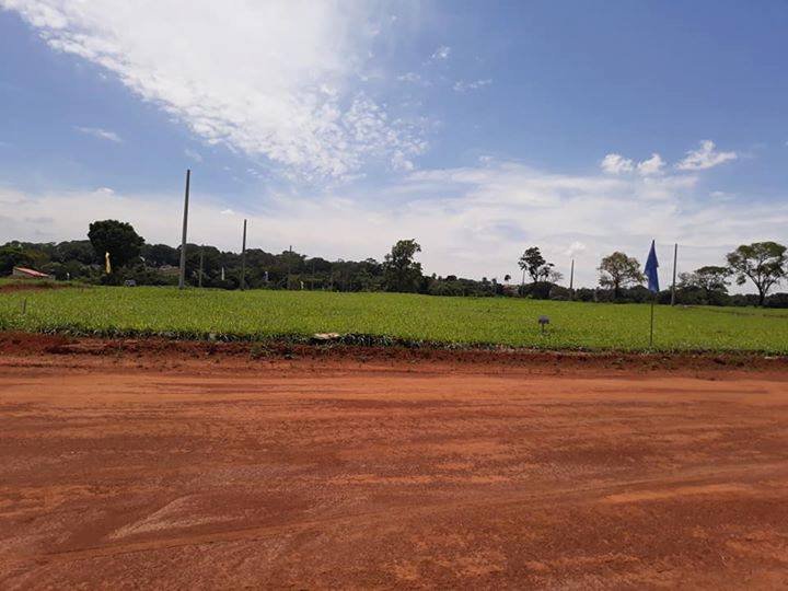 54432406_10210644532909501_4315462983015727104_n