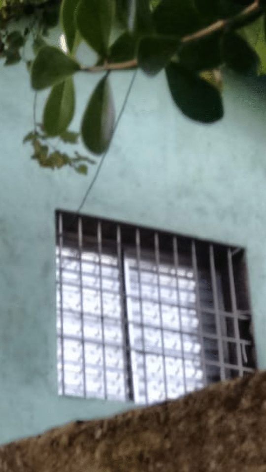 Screenshot_20190503-093749