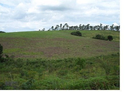 2663e6af-3d94-4629-93b1-c53e78a58281