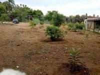 photo_2019-03-13_12-23-07