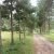 IMG-20190520-WA0032