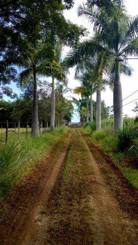 photo_2019-03-13_12-22-50