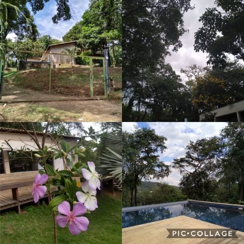 Collage 2019-06-26 08_05_15