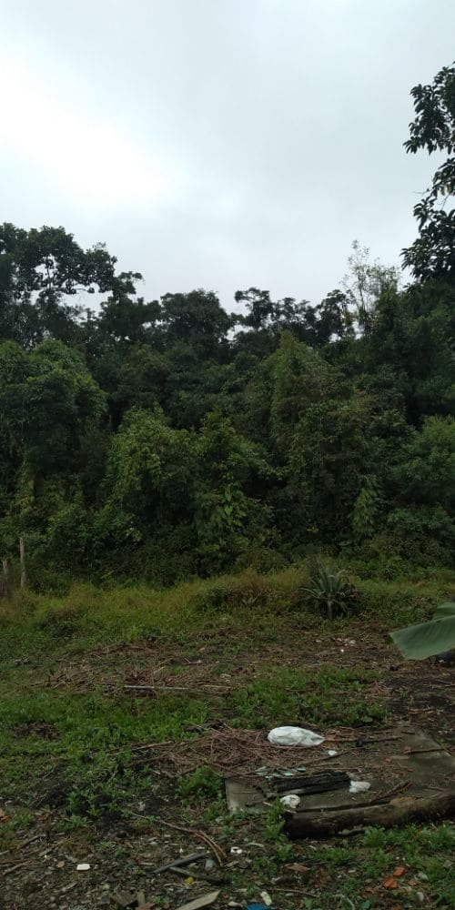 IMG_20190702_152941153