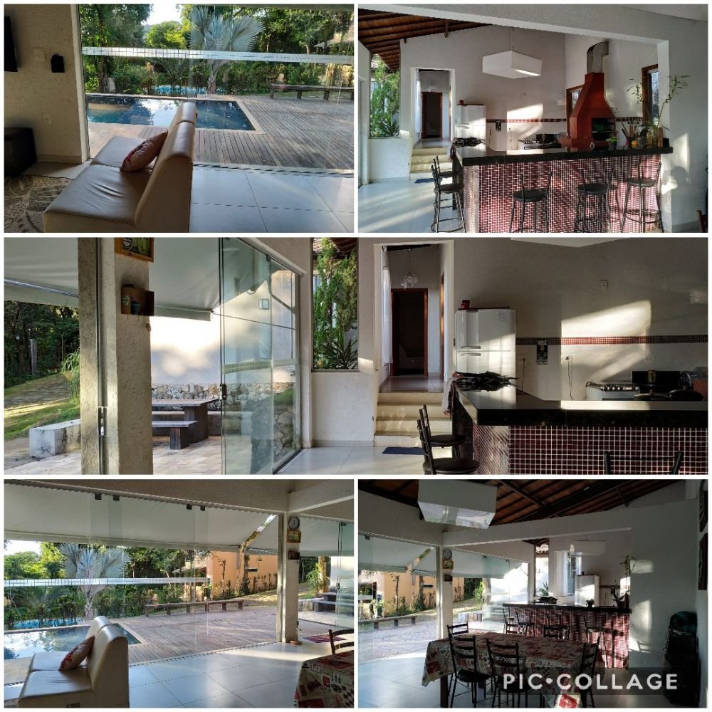 Collage 2019-06-26 08_15_00