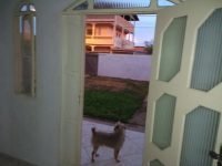 IMG_20190718_173152846