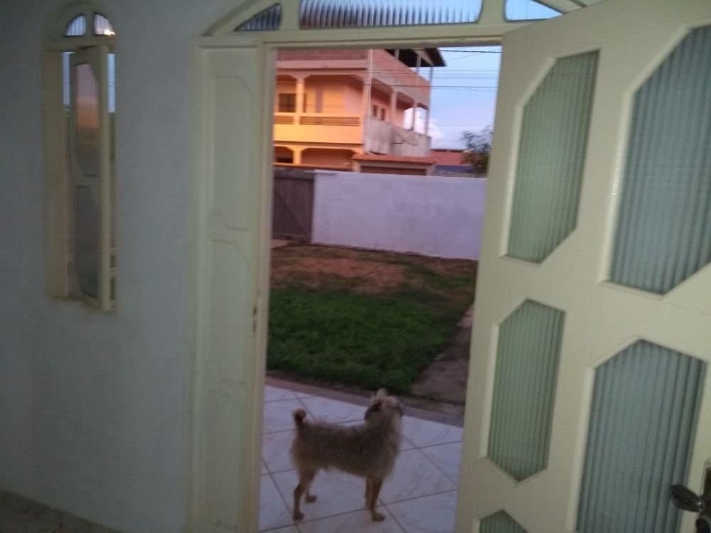 IMG_20190718_173152846