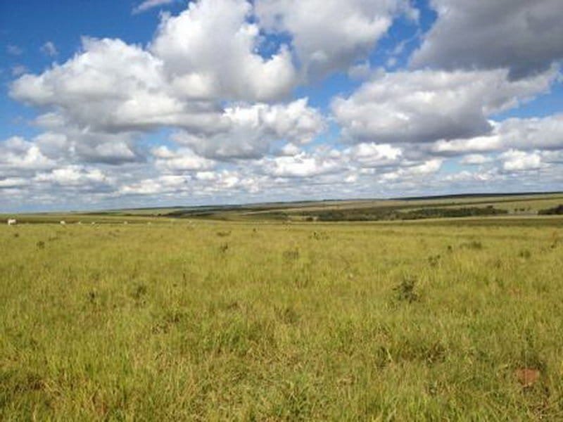 Fazenda Sahy - 550 has - Brasil Agricola - 2 (117)