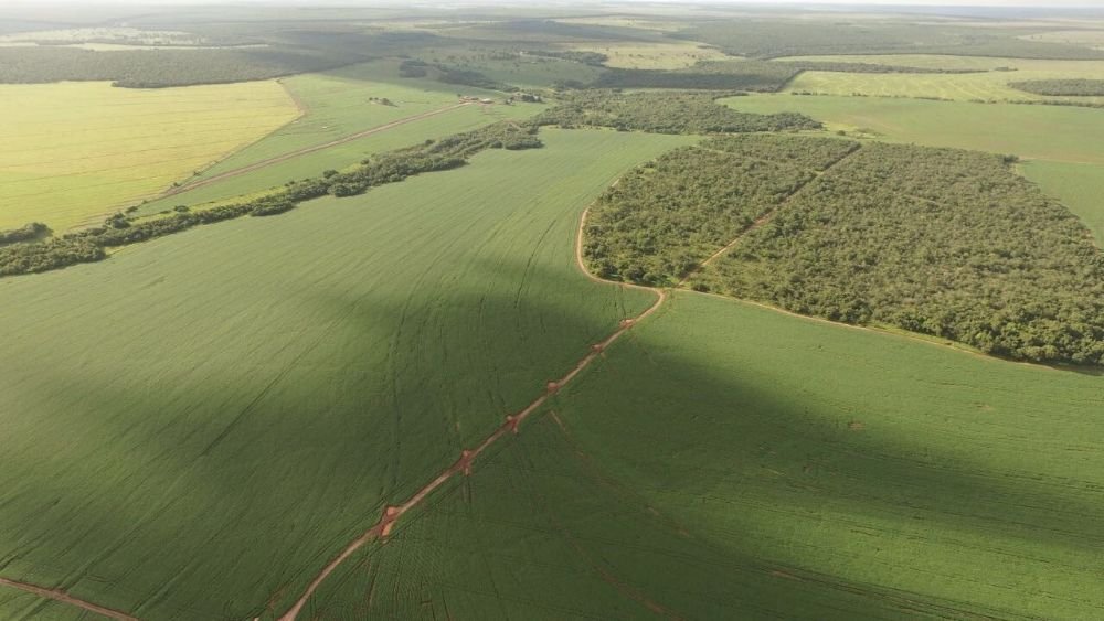 Faz. Bandeirantes 1.234 has plantando 1.000 has - 004