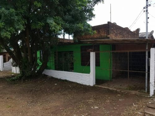 65826487_2385180945104412_7210977488409722880_n