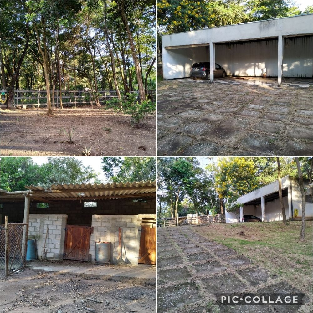 Collage 2019-06-26 08_07_48