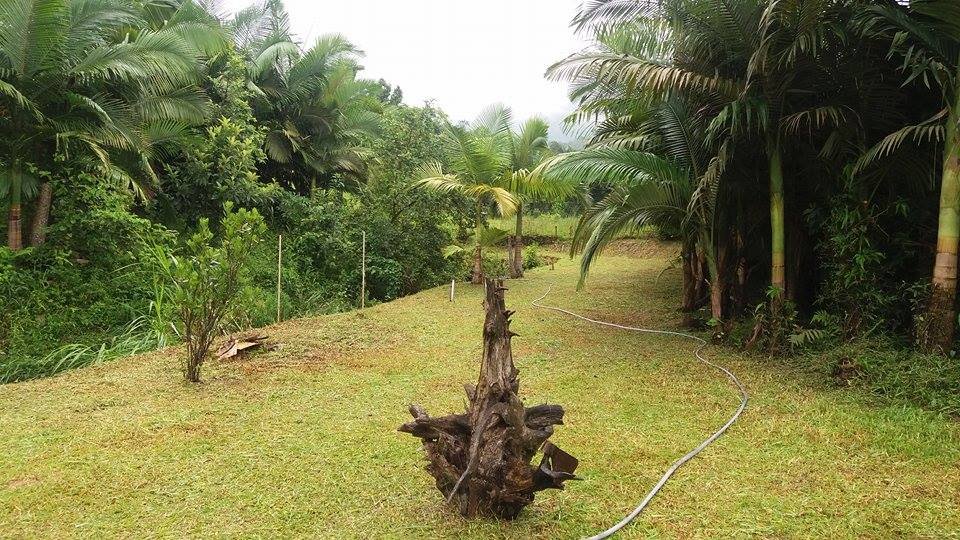 15577499_1200077900077665_1816679427_n