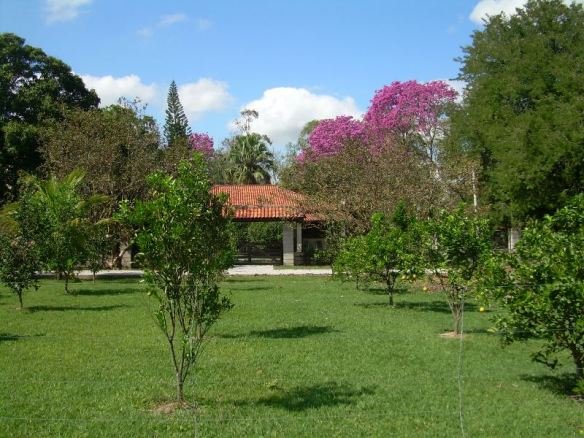 Sitio Arumã 023-1a