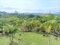 42f04bfe-11b4-4e99-824d-1d40daf6e896