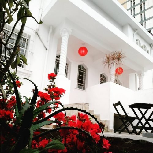 60477161_696218530821901_2680668451562848256_n