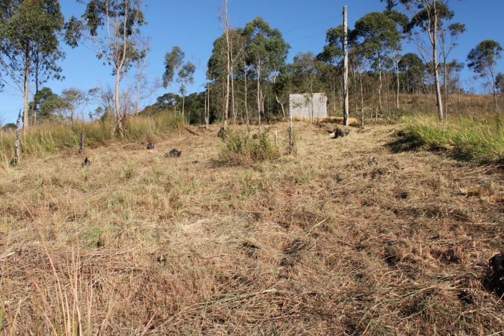 WhatsApp Image 2019-07-01 at 16.13.07(2)