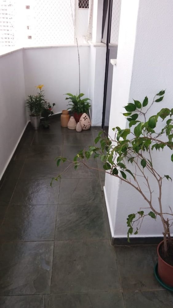 WhatsApp Image 2019-06-21 at 20.33.06 (2)